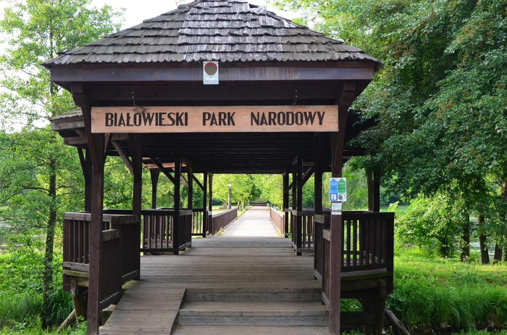Białowieski Park Narodowy